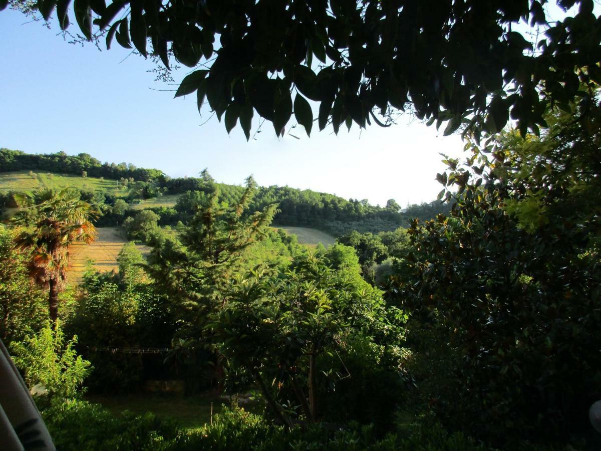 B&B Carboni Penna San Giovanni Exterior foto