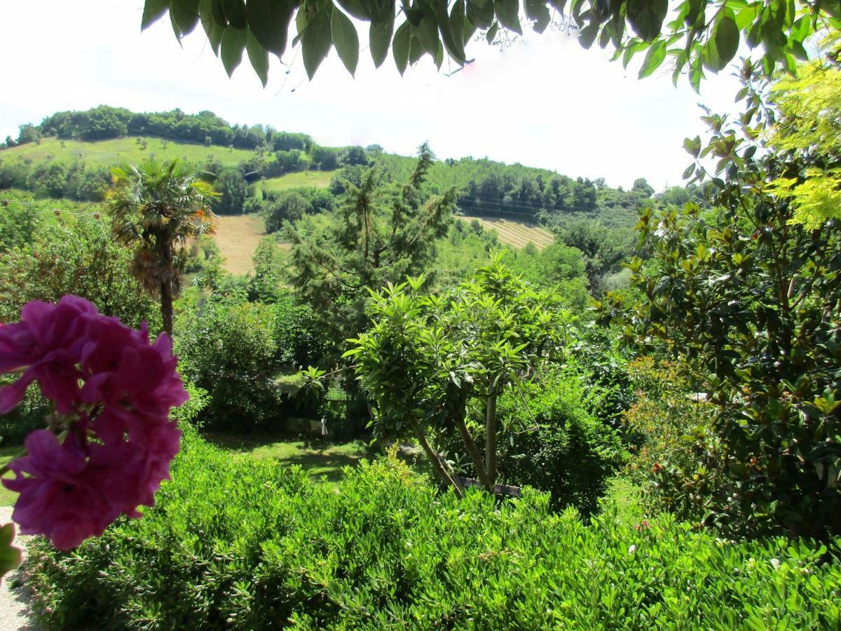 B&B Carboni Penna San Giovanni Exterior foto